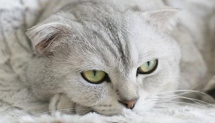 乐鱼体育平台官网-中超球队冬训计划公布着重攻防转换，中超冬歇期多长时间