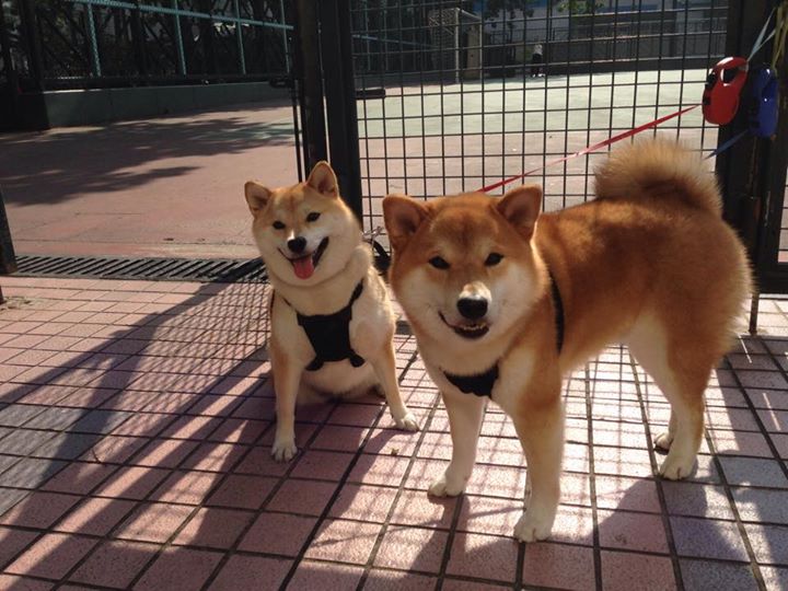 体育产业创新发展方向，体育产业科技创新