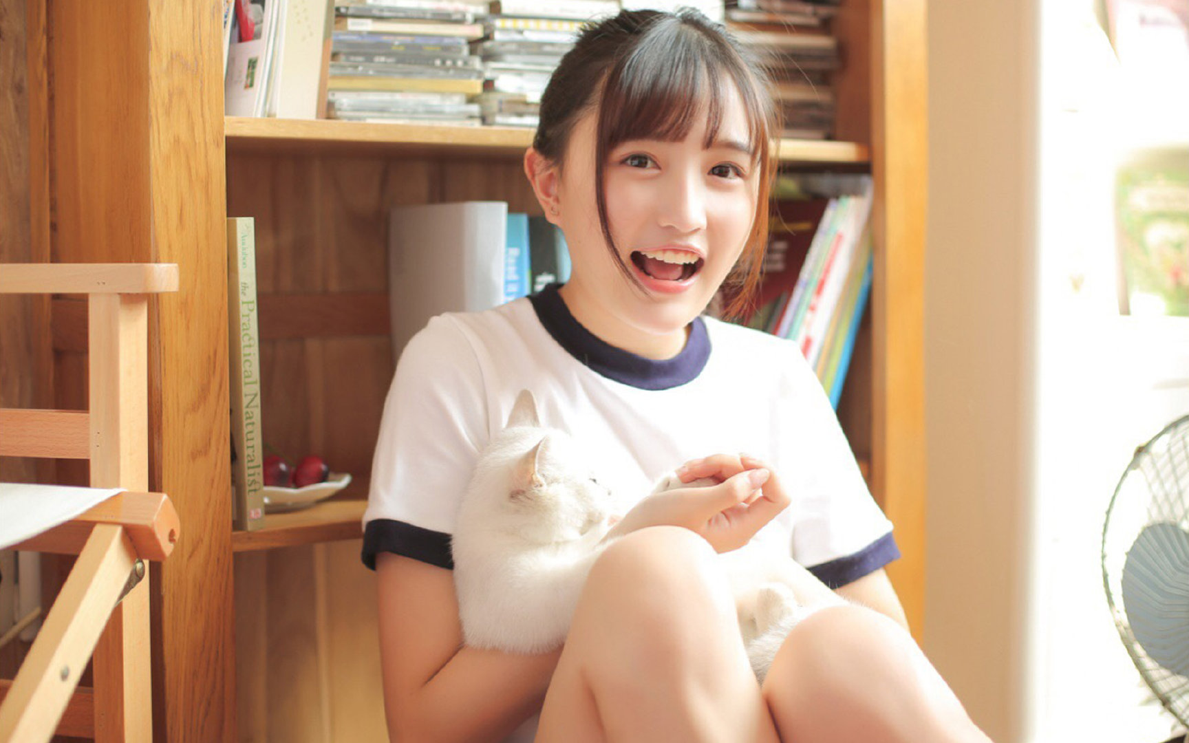 Chinese Taipei乒乓球战术：以反击制胜的秘密，乒乓台北