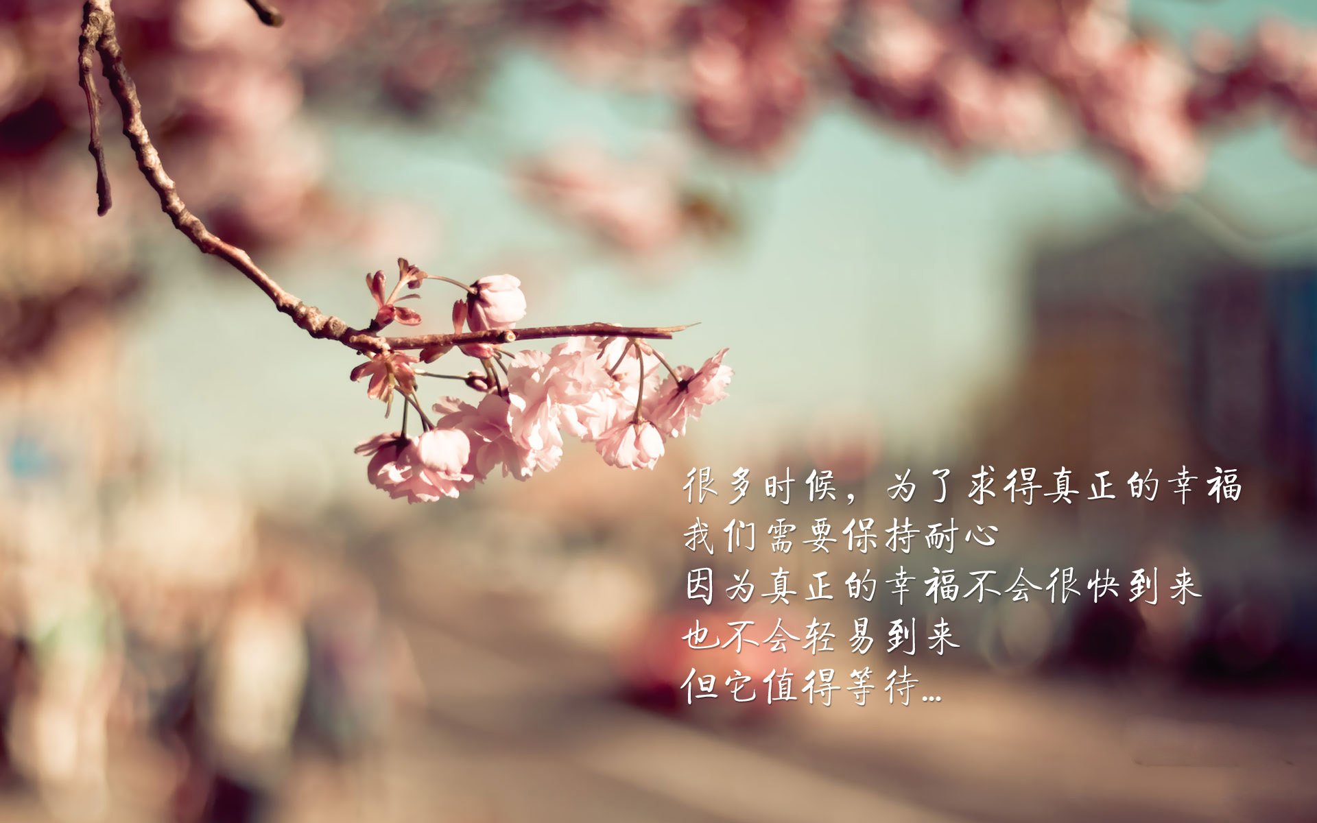 “新加坡泳池,谁将成为2025世界游泳锦标赛的新一代王者?”