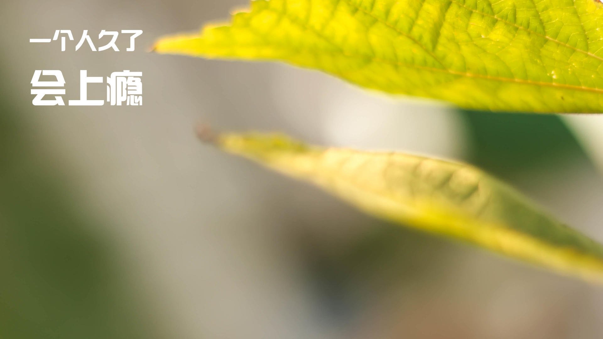 leyu.com-中卫持球推进能力是否成为球探评估关键，中卫球员