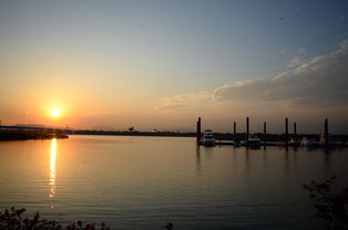 Leyu Sport下载-千帆竞发，轻艇马拉松点亮湖滨赛场，赛艇马拉松多少公里