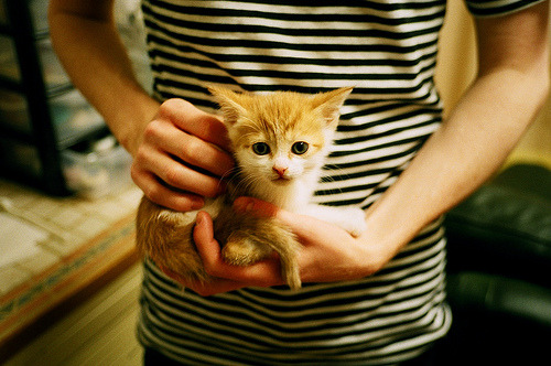 乐鱼电竞-校园篮球课程为何缺乏系统化衔接，学校篮球课程开展