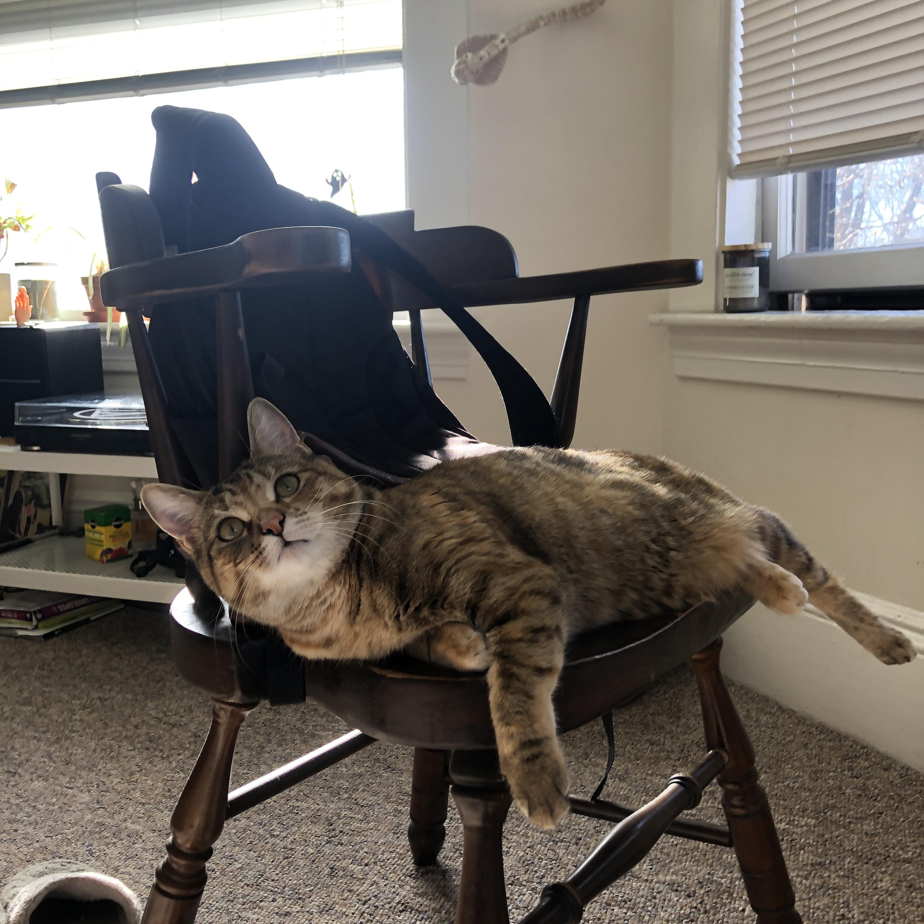 职业球员退役后去向规划模糊,职业球员退役后有工资吗