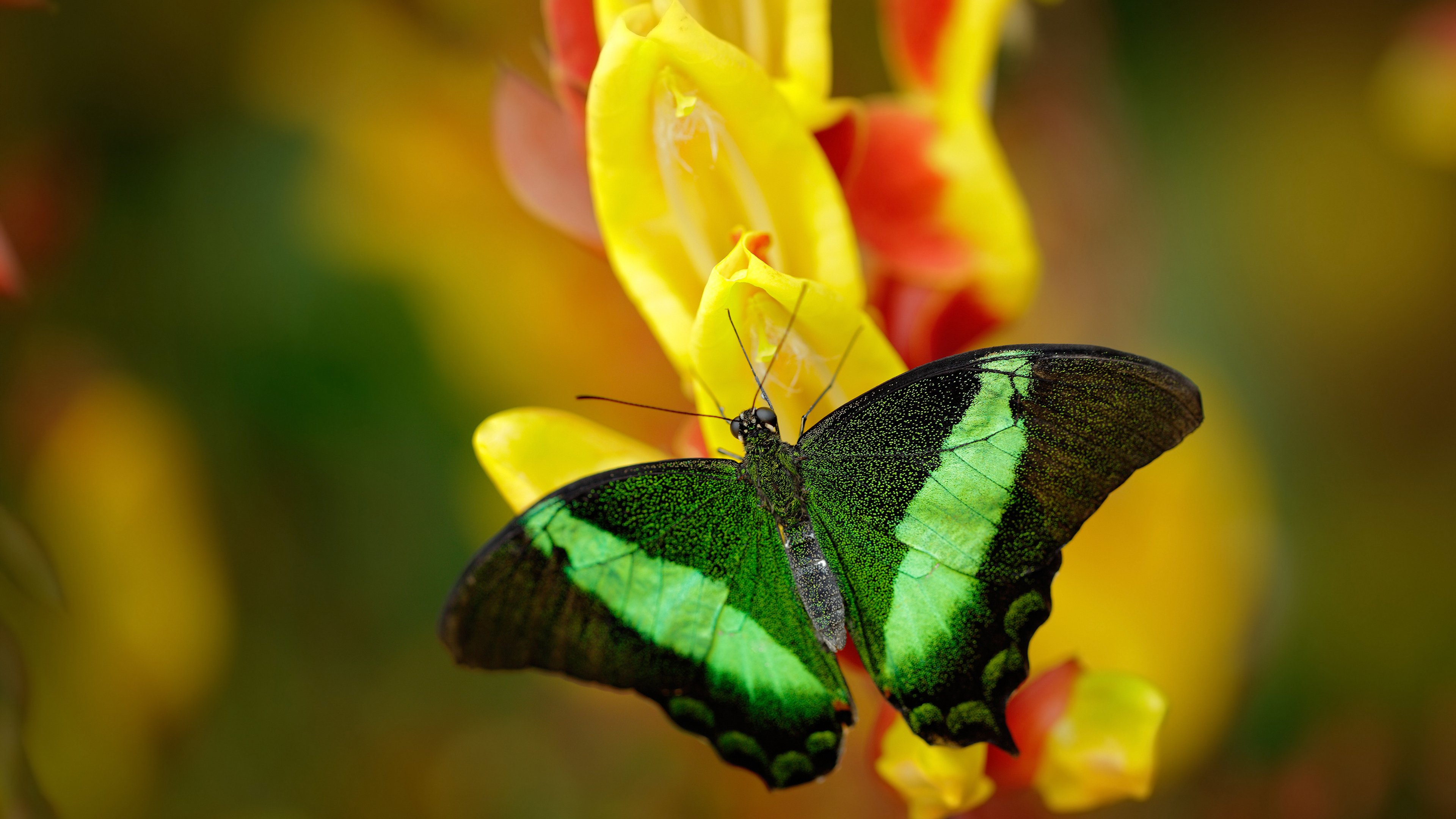 Leyu Sports (乐鱼体育)-观众席无障碍设施升级提升体验感，无障碍接待台