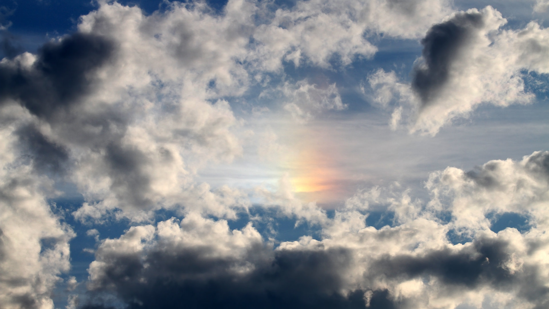 中小学篮球合作项目纳入地方教育发展计划,中小学篮球运动发展现状