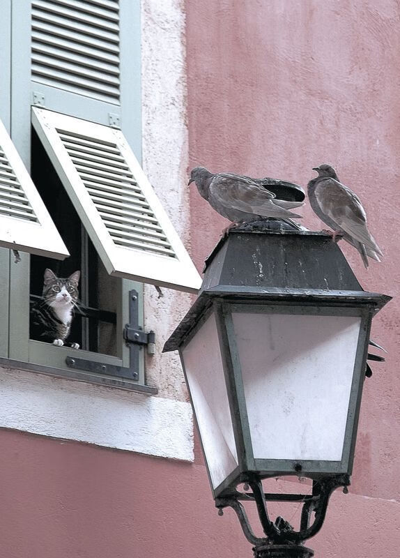 伊丽莎白·德克斯刷新个人最佳成绩，伊丽莎白和德雷克