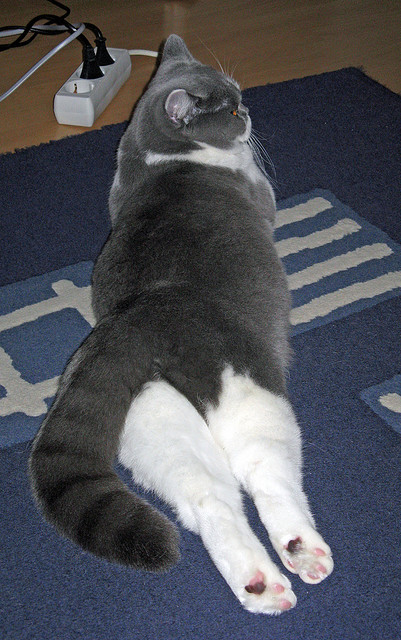 女子国家队加强中前场配合训练提升传控能力