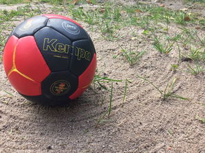 乐鱼电竞· (中国)官方网站-安提瓜和巴布达在中美洲锦标赛中夺冠，体育实力不断崛起