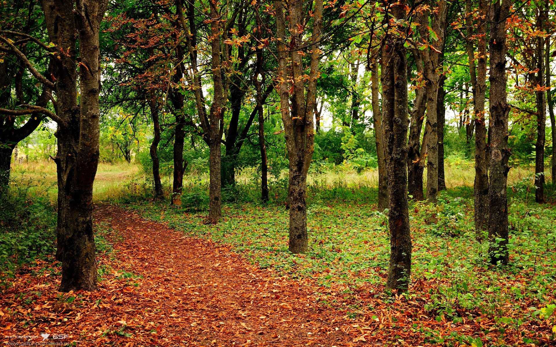 巴特尔的防守覆盖能力,帮助袋鼠队化解对方进攻威胁,巴特尔会扣篮吗