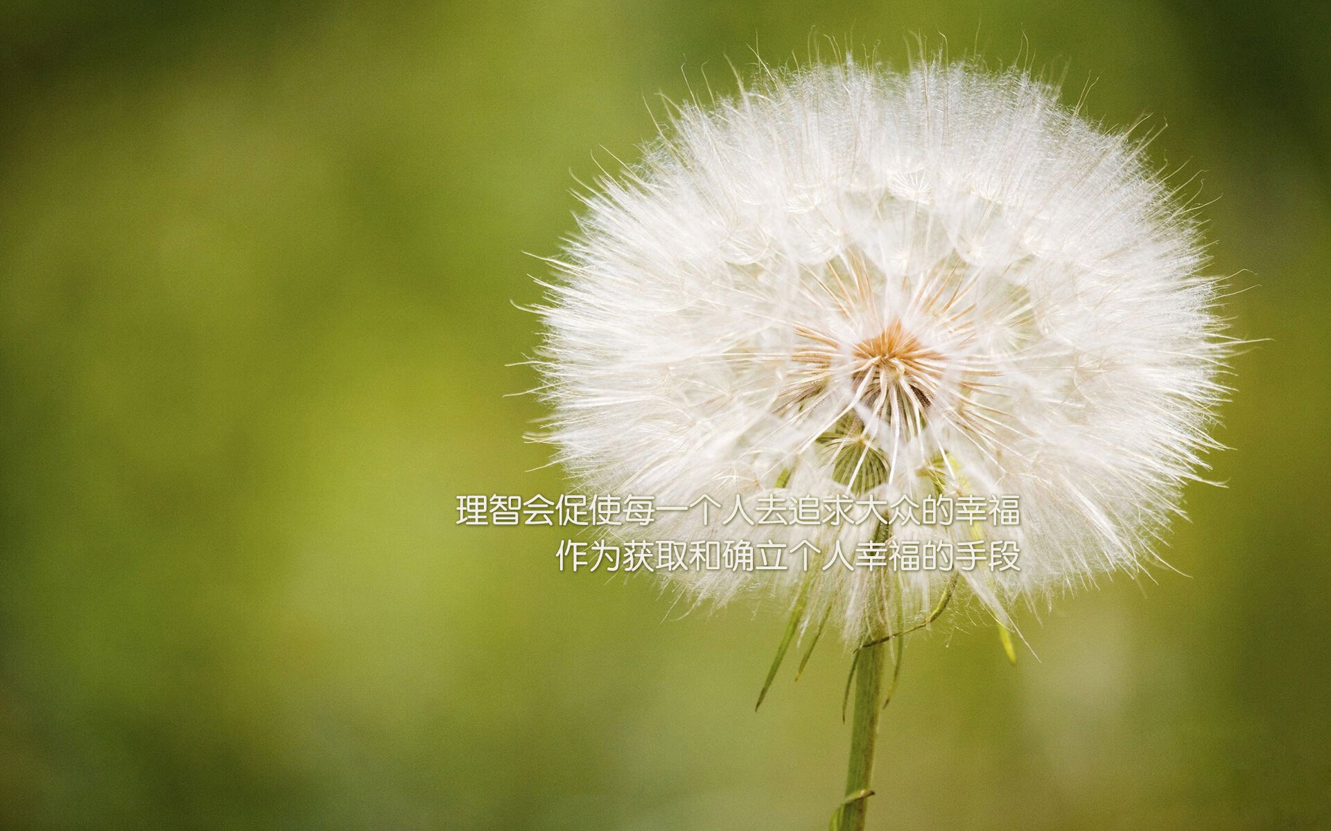 普劳德:经验与自信是关键武器,普劳恩德农业机械有限公司