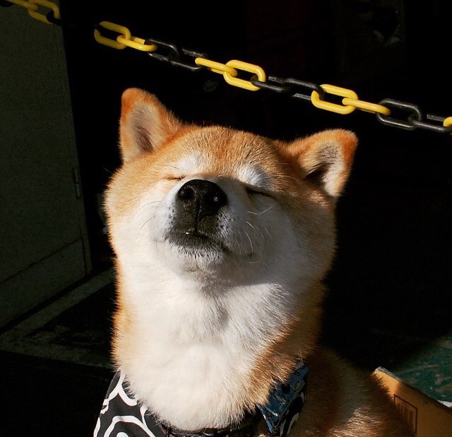 苏炳添在公开课中亲授起跑技巧，苏炳添的起跑方式叫什么